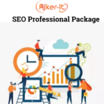 SEO Professional Package