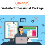 Website Professional Package