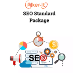 SEO Standard Package